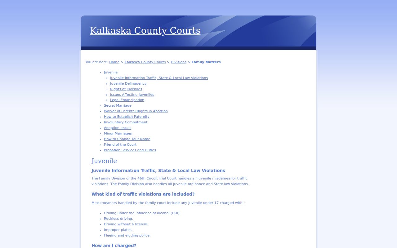 Kalkaska County criminal docket Family Division juvenile process information